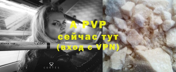 молекула духа Богородск