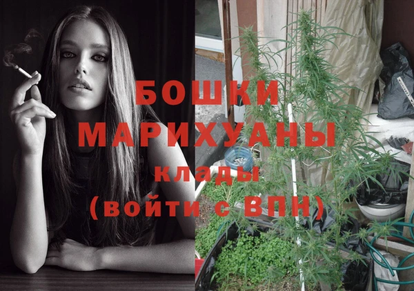 молекула духа Богородск