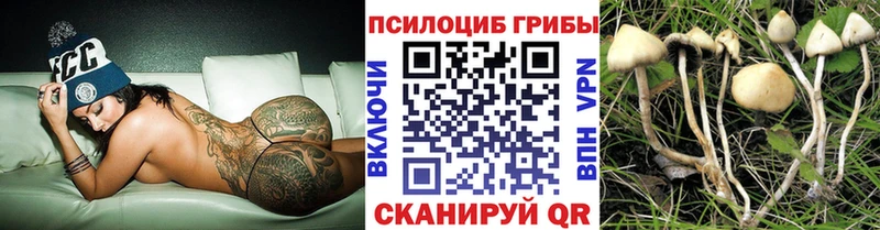 Псилоцибиновые грибы Psilocybe  Купить где  Райчихинск 
