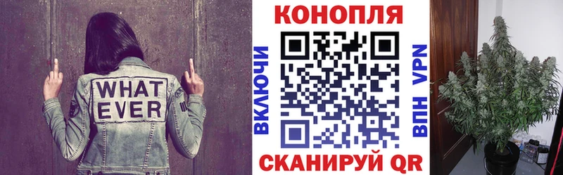 Бошки марихуана марихуана  Купить  Райчихинск 